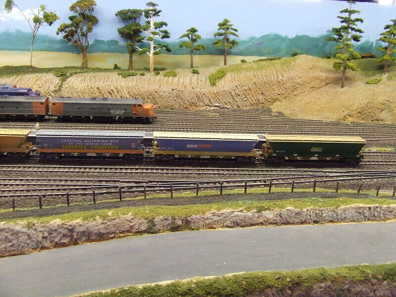 Rice Traffic Travelling Through Murri