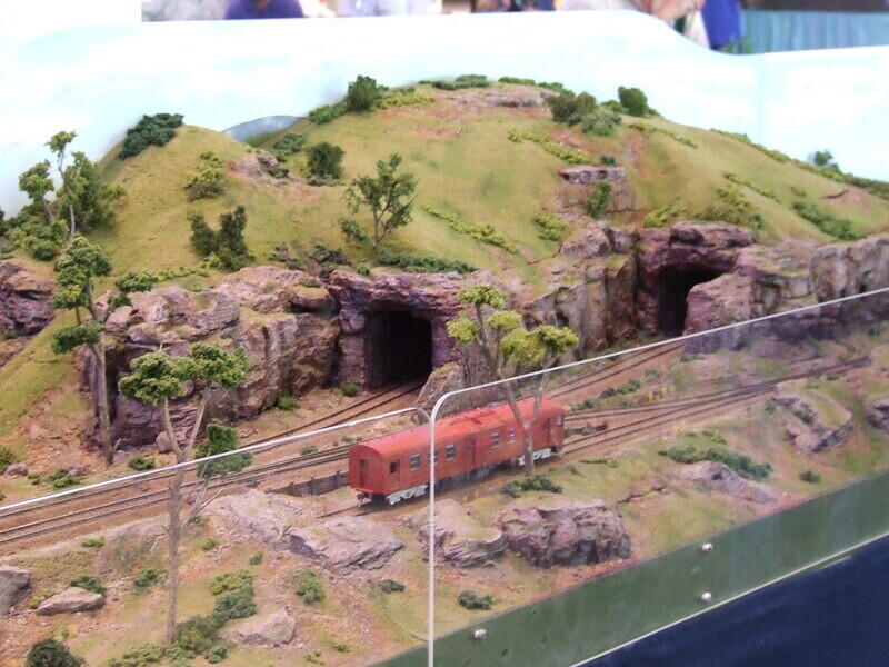 Tybrook s Tunnels with SAR 300 Class Redhen