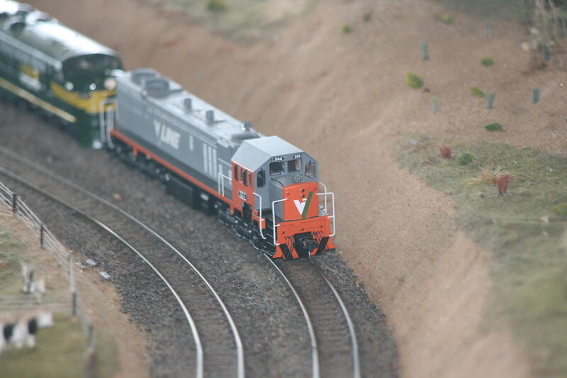 IMG 0994