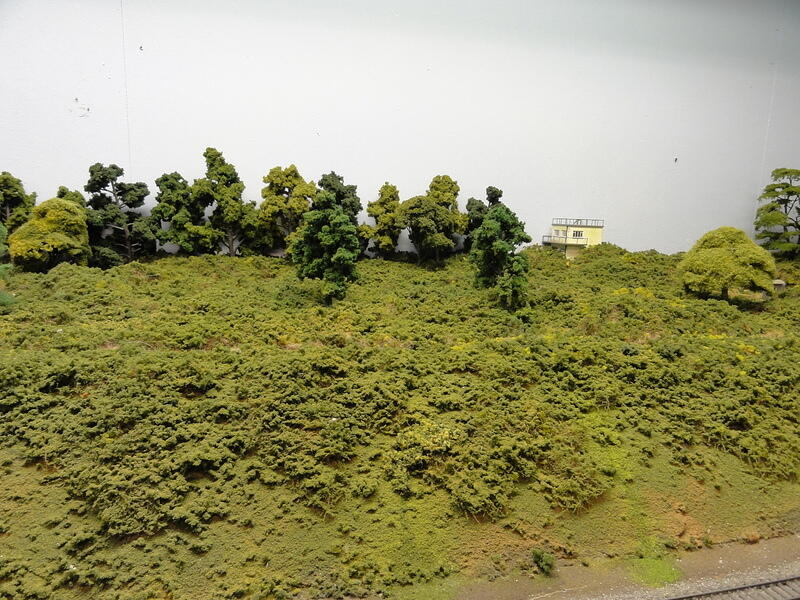 DSC00510