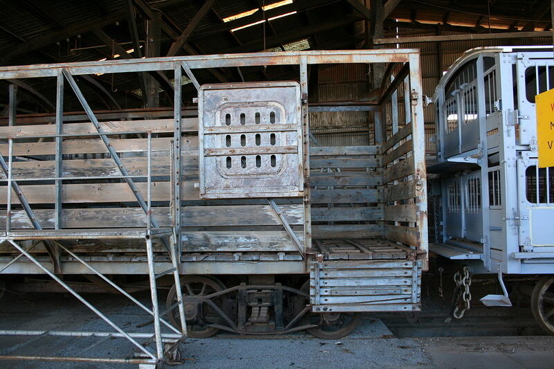IMG 3178