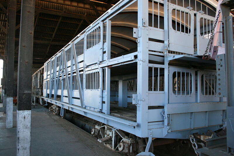 IMG 3183