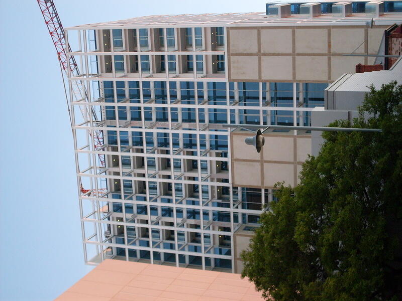 SDC10164