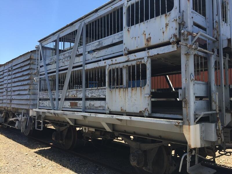 Rolling Stock (4)