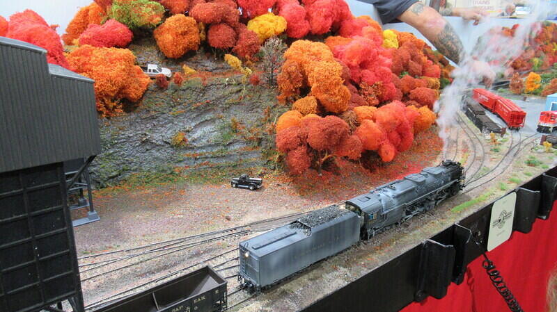 Black Springs 05