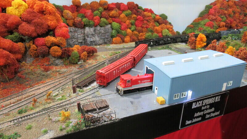 Black Springs 06