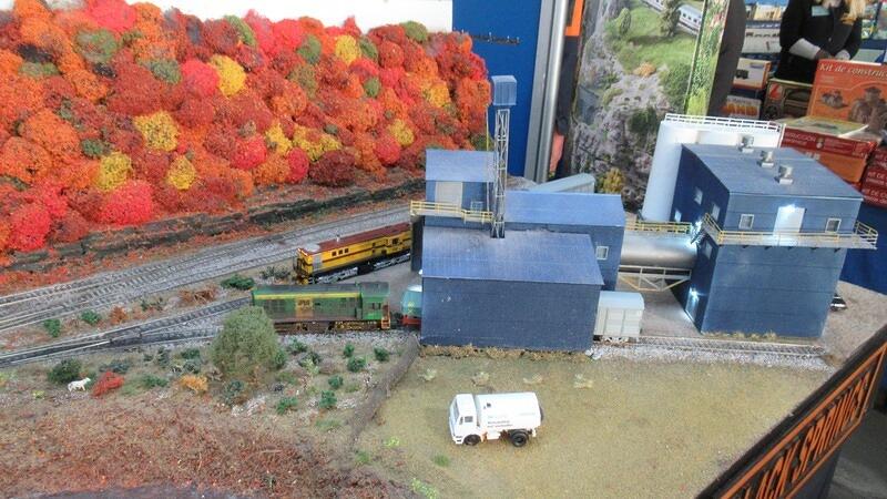 Black Springs 06