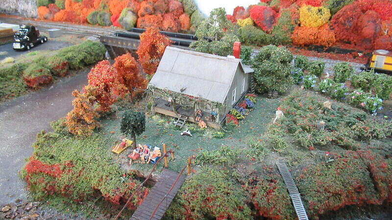 Black Springs 09