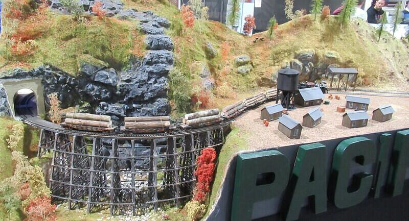 Pacific Pines 01