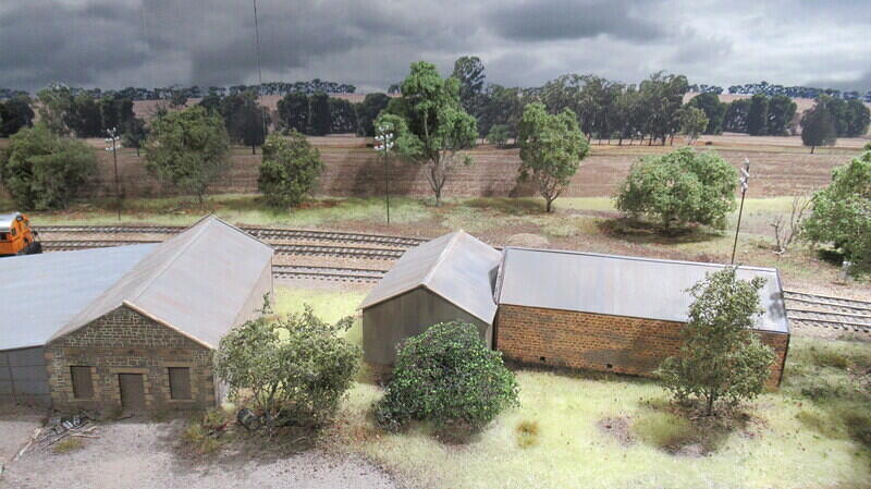 Tarlee 11