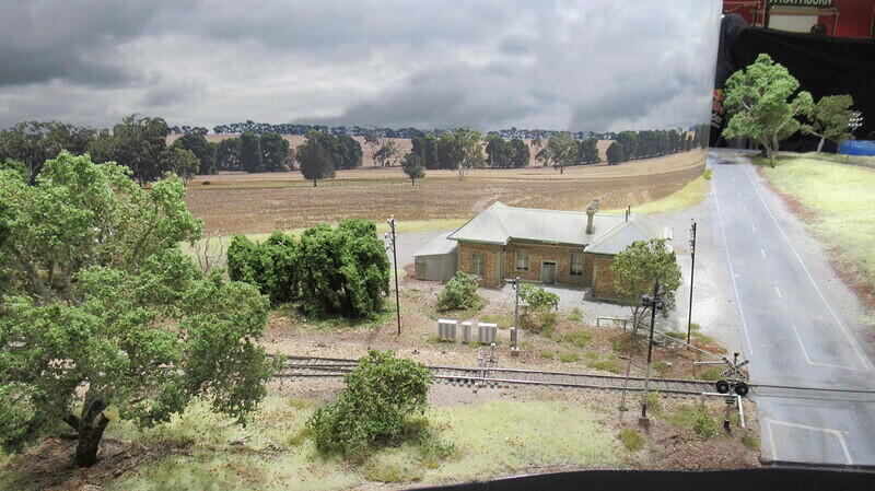 Tarlee 12
