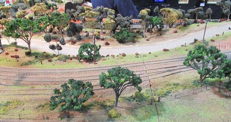 Terowie North 16