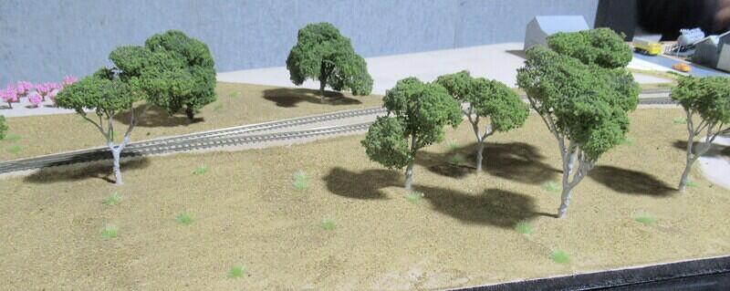 Strathalbyn 05