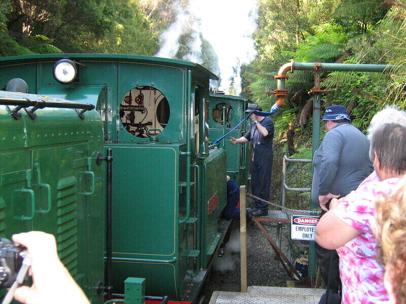 IMG 0331