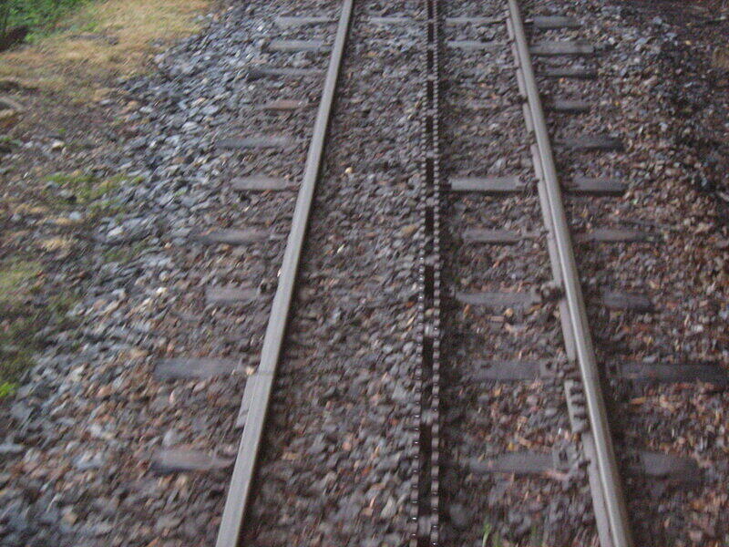 IMG 0215