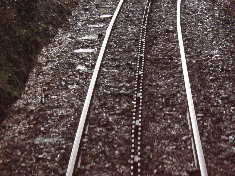 IMG 0216