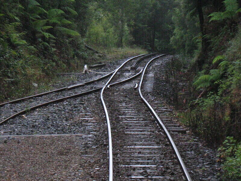 IMG 0223