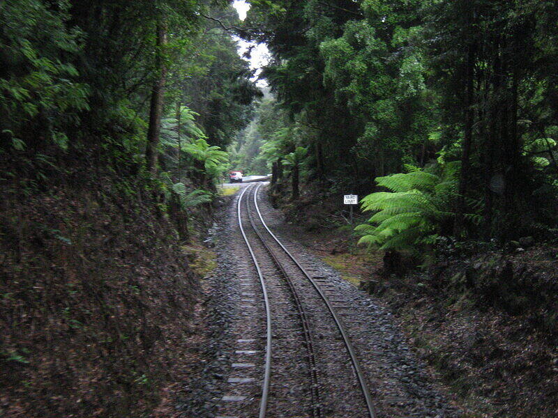 IMG 0227