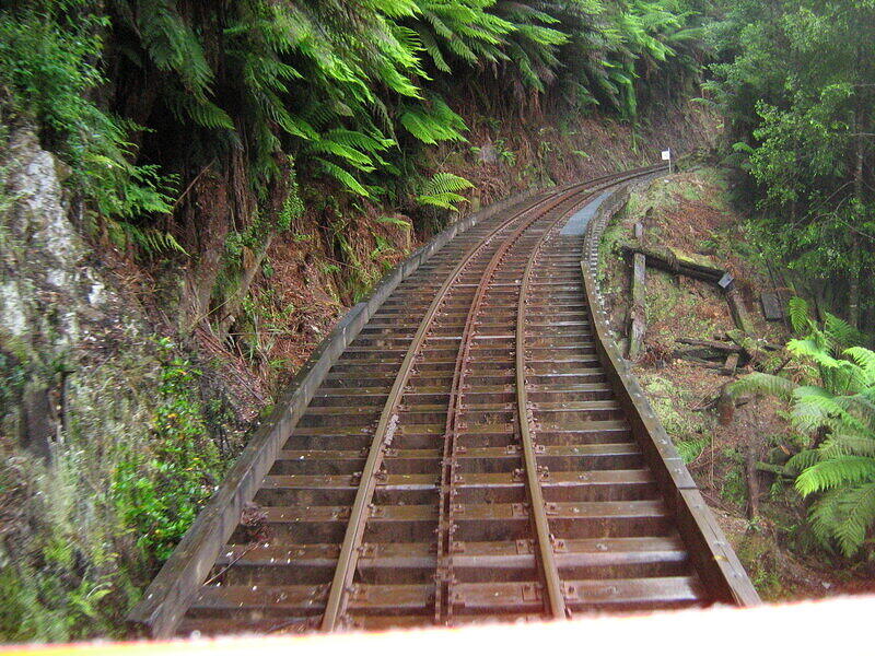 IMG 0229