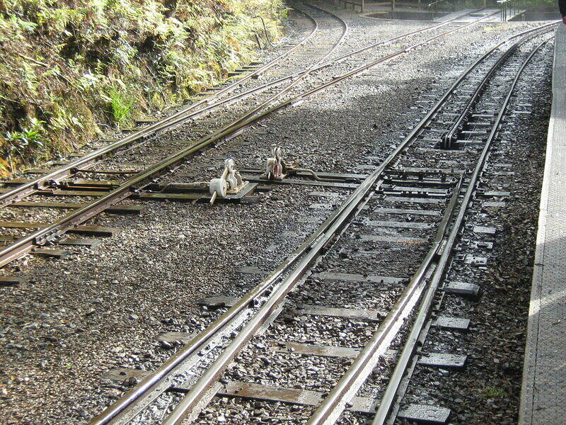 IMG 0243