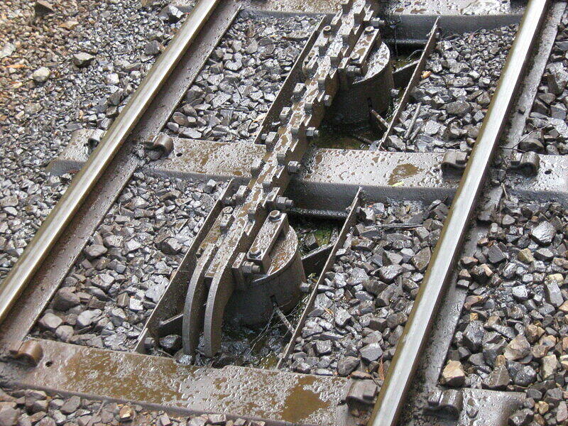 IMG 0246