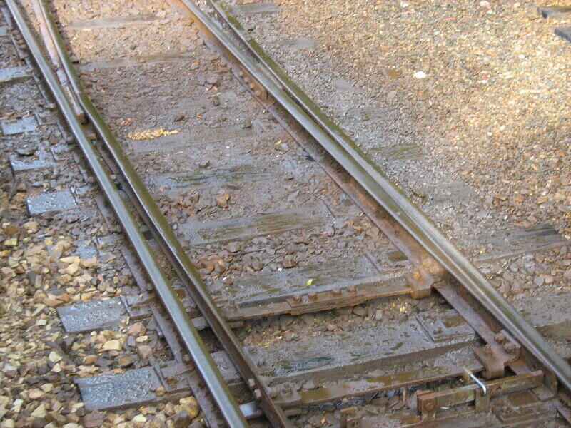 IMG 0248