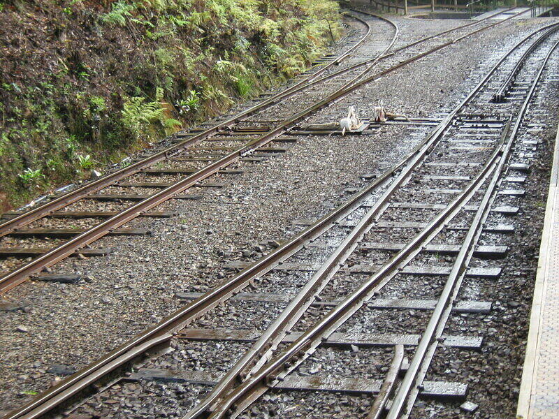 IMG 0250 001