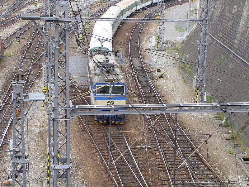 P6295235