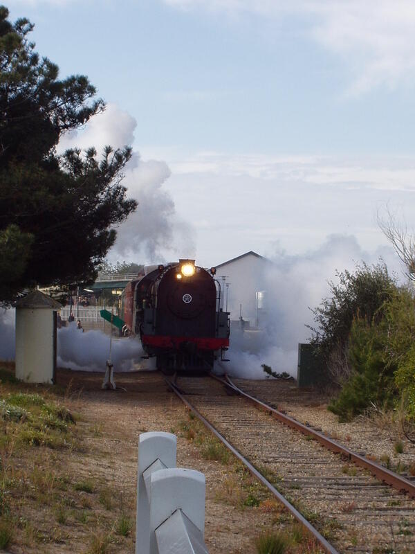 PB240008 001