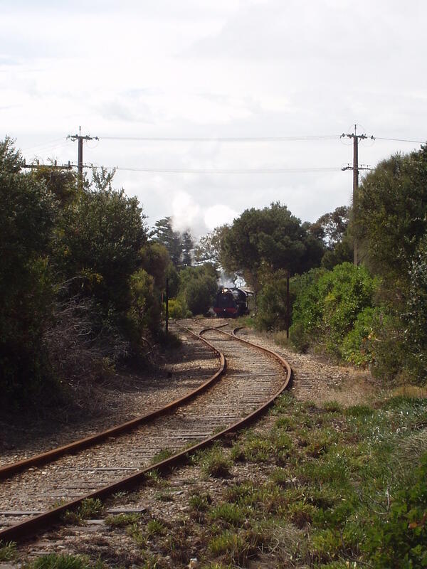 PB240019
