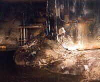 Elephant s Foot 1996