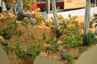 IMG 1921