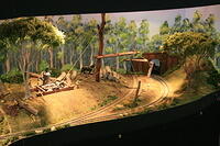 IMG 1935