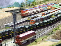 Yard on Murri1