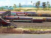 Yard on Murri2