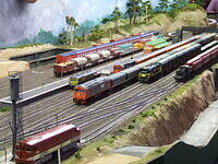 Yard on Murri3