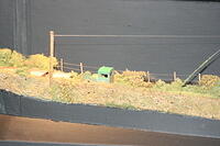 IMG 0863