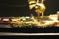 IMG 0864