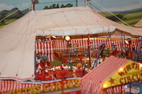 IMG 0892