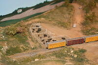IMG 0913