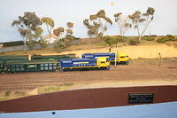 IMG 0925