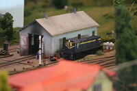 IMG 0947
