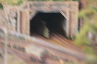 IMG 0949
