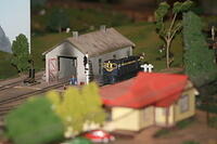 IMG 0951