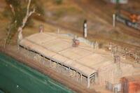 IMG 0969