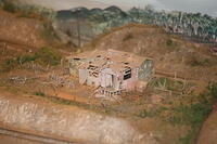 IMG 0971