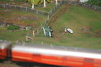 IMG 0978