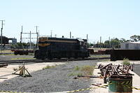 IMG 1342