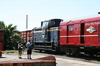 IMG 1344
