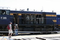 IMG 1350